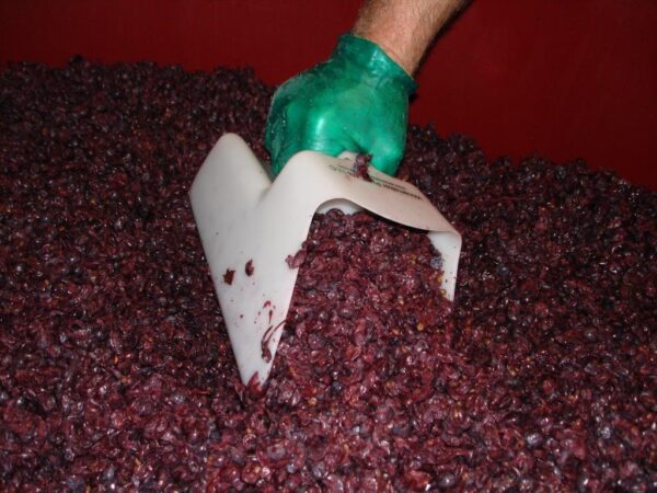 A person with green gloves is picking up red wine.