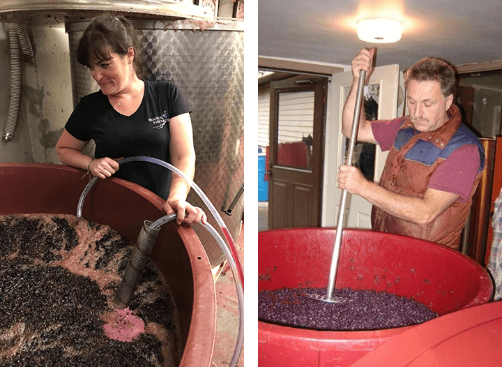 Two pictures of people working in a winery.