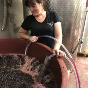 A woman is pouring wine into a large barrel.
